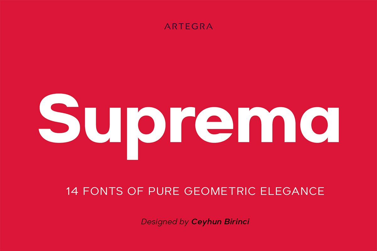 A pure geometric sans serif typeface with fourteen fonts