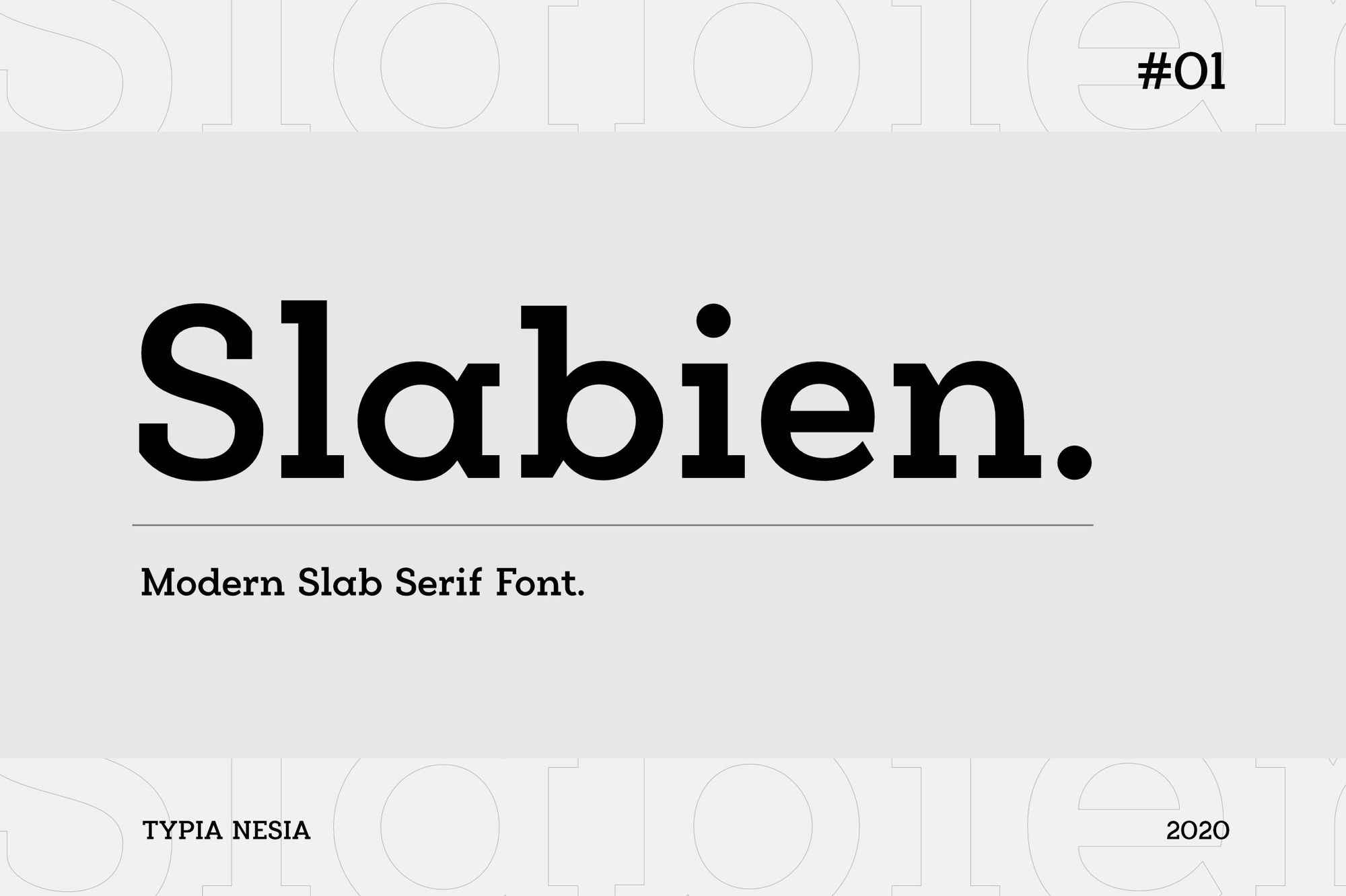 A modern slab serif font