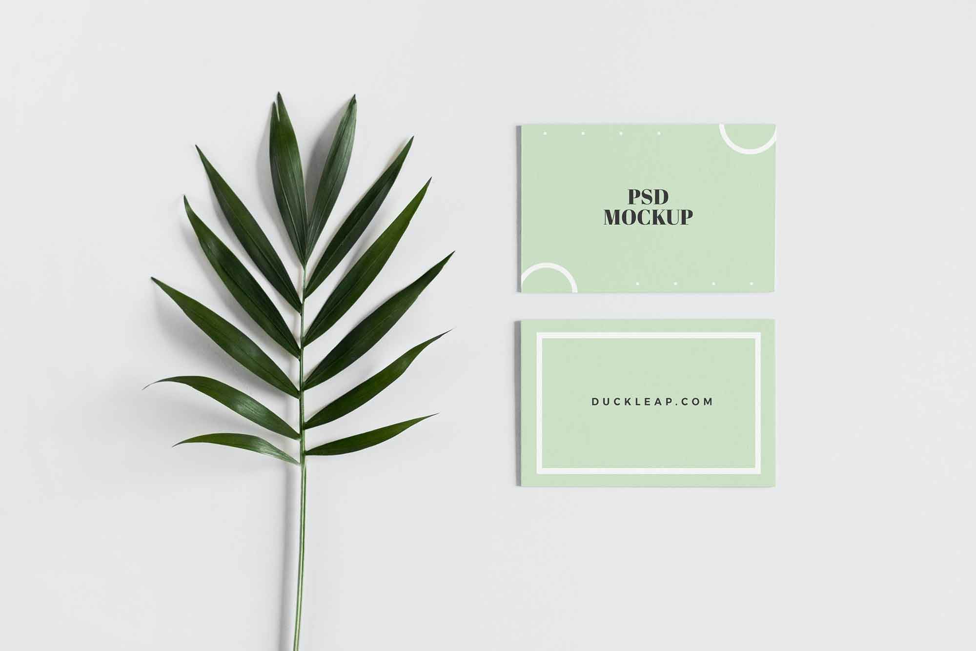 A free front and back business card mockup